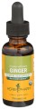 Ginger Liquid Extract 1 fl oz(30ml) HerbPharm