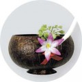 10-14 oz Coconut Shell Cup with Base, Straw & Flower