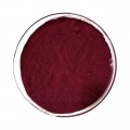 Red Wine 30% Polyphenols Standardized Powder Extract (PE) Bulk