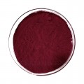 Red Wine 30% Polyphenols Standardized Powder Extract (PE) Bulk