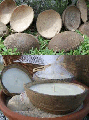 Coconut Half Shell Bowls 8 oz