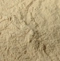 Grapefruit Powder Extract 4:1 Bulk