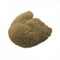Holy Basil (Tulsi) Powder Extract (PE) Standardized 2.5% Ursolic Bulk