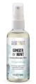 Ginger & Mint Invigorating Essential Oil Aromatherapy Mist 4 fl oz (118ml) Aura Cacia