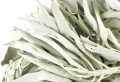 Sage White Tops Whole With Stems Bulk