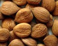 Apricot Nuts/Seed Kernels Hunza Valley Organic Bulk