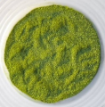 Salicornia (Samphire/Sea Beans) Seaweed Algae Powder Bulk