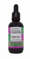 Intestinal Calmpound Liquid Extract David Winston's Herbalist & Alchemist