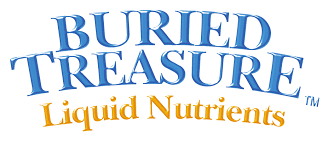 buried-treasure-logo.png