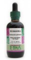 Rehmannia Glutinosa Root Liquid Extract David Winston's Herbalist & Alchemist