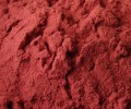 Watermelon Fruit Juice Powder All Natural Bulk