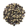 Blue Corn Kernels Popcorn Non-GMO Bulk