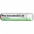 Rhus Toxicodendron 6x Single Remedy 100 Tabs Boericke & Tafel Homeopathics CLOSEOUT