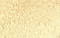 Astragalus Root Bulk