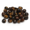 Guarana Seed Bulk