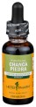 Chanca Piedra Liquid Extract 1 fl oz(30ml) HerbPharm