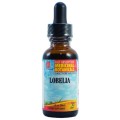 Lobelia Liquid Extract 1 fl oz (30ml) LA Naturals