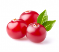 Cranberry Whole Seeds/Fruit Juice Powder/Unrefined Oil Bulk