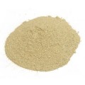 Nopal Cactus Powder Bulk