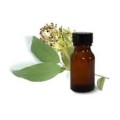 Lemon Myrtle Nature Enhanced Essential Oil Bulk