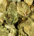 Hops Flower Tops Bulk