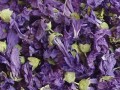 Malva Whole Herb & Flowers Light Blue Wildcrafted Seeds Bulk