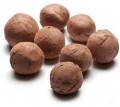 SeedBallz Garden Seeds 20/Pack